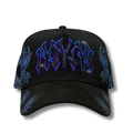 NY DRAGONS